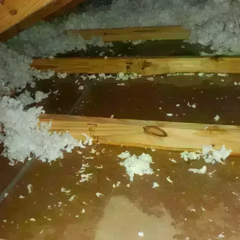 Attic Water Damage in Rockwood, MI